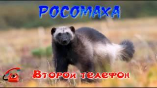 Росомаха