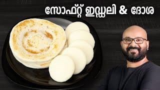 സോഫ്റ്റ് ഇഡ്ഡലി & ദോശ  Soft Idli & Dosa Recipe  Easy & Perfect Idli Dosa Batter