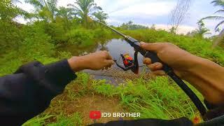 HARI LIBUR GAK MANCING RUGI DONG‼️#mancing