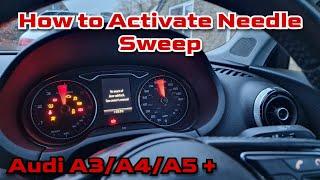 Audi A3A4A5Q3Q5 8V Needle sweep activation. Quick and easy car mod. VCDS Activation