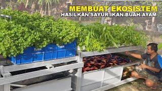 MEMBUAT AQUAPONIK NILA  CIPTAKAN EKOSISTEM UNTUK BUDIDAYA IKAN SAYUR BUAH AYAM SEKALIGUS