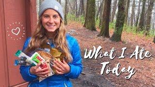 WHAT I ATE TODAY ON THE APPALACHIAN TRAIL