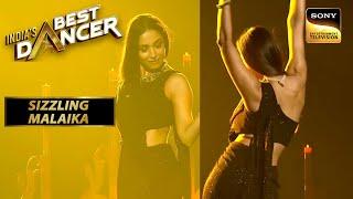 Malaika Arora ने दी एक Sizzling Performance  Indias Best Dancer  Sizzling Malaika