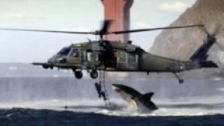 great white shark jumping at a helicopter during training