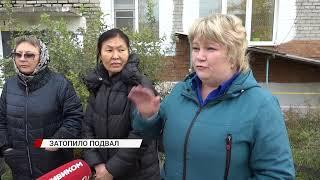 В Улан-Удэ подвал многоквартирного дома превратился в инкубатор для насекомых