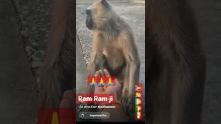 Hanuman ji bhajan #shorts #short #video #youtube #viresh #kumar #shortsvideo2023