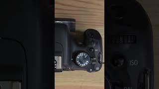 Canon EOS Rebel T2i Fully Automatic Mode Explained