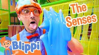 Blippi Learns the 5 Senses at a Play Place  Blippi Full Episodes  Educational Videos  Blippi Toys