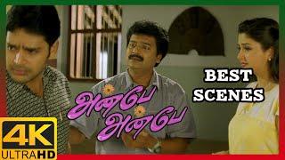 Anbe Anbe Tamil Movie 4K  Best Scenes Compilation  Shaam  Sharmilee  Vivek  Senthil