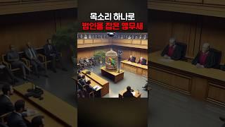 목소리 하나로 범인을 잡은 앵무새