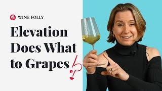 How Elevation Affects Grape Varieties ep. 39 Wine Folly