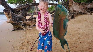 11 Day Fishing Catch & Cook in Hawaii - Diving with Whales Spearfishing Snorkeling & Adventure