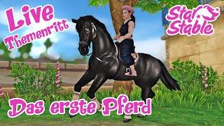 Star Stable SSO Live - Themenritt - Das ERSTE Pferd das ich KAUFTE Server 11