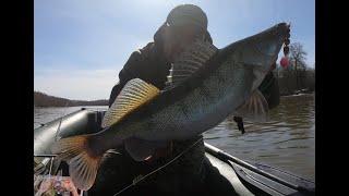 Судак Ранней Весной Джиг  по р. Десна  Где и на Что ловить ? По ХОЛОДНОЙ ВОДЕ 