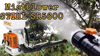 Test Drive Mesin Mistblower Stihl SR5600
