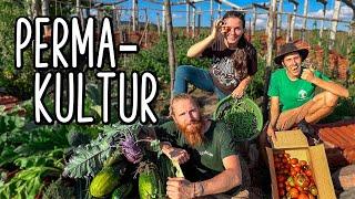 HOW DOES PERMACULTURE WORK IN PRACTICE I Crash course for Self-Sufficiency