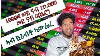 This is how I invested my first 1000 euros in crypto ከምዚ ገረ 1000 EURO ኣብ ክርብቶ ኣውፊረ