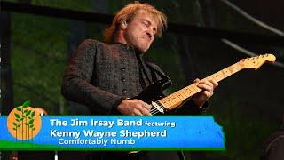 The Jim Irsay Band featuring Kenny Wayne Shepherd - Comfortably Numb Live at Farm Aid 2023