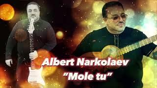 Albert Narkolaev - “Mole tu”cover Bijan Mortazavi - Hasti