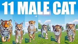 11 Male Cat Speed Races in Planet Zoo included Tiger Leopard