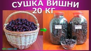 Сушка вишни – 20 кг.