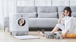 Automatic Self Cleaning Cat Litter Box