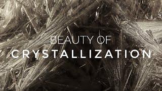 Beauty of Crystallization - A Time Lapse Video about Crystal Growth