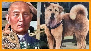 HACHIKO the story of the faithful dog ️