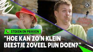 GEBETEN DOOR EEN DUIZENDPOOT ‍  Steken en Prikken  S4 #6  NPO Zapp