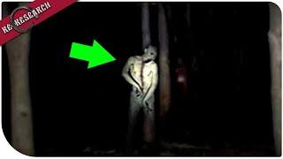 आप सपने में भी इसको देखना नहीं चाहोगे  5 Scary videos