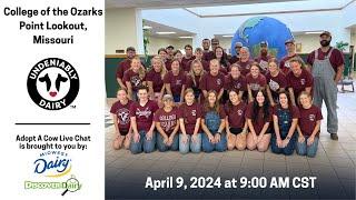 College of the Ozarks - Adopt A Cow Live Chat 2024