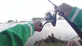 WADUK KRONJO Mancing Nila @tkmancing