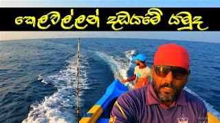 මහ මුහුදේ දුවන රස්සාව  පැය 12 ක මුහුදු ගමන  Trawling Fishing  @wishwatiyubaya 