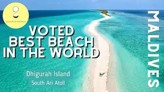 Dhigurah Island  Maldives   VOTED BEST BEACH IN THE WORLD