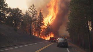 Park Fire surpasses 230K acres prompts evacuations in Shasta Butte Tehama counties