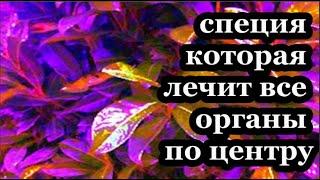 #остеохондроз является причиной боли в спине в 80% случаев