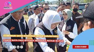 Pertanian Makin Canggih Petani Blitar Panen Raya Padi dengan Aplikasi Biosaka