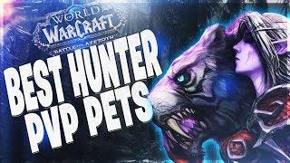 BEST HUNTER PVP PETS IN BFA BM HUNTER BATTLE FOR AZEOTH 8.0.1