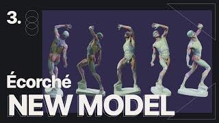 Interactive 3D human model for artists Écorché  by Anatomy For Sculptors