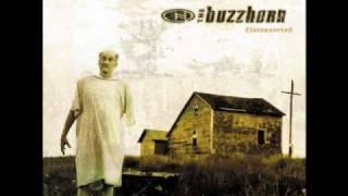 The Buzzhorn - Ordinary HQ Audio