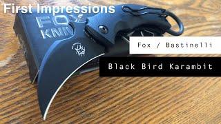 Fox Black Bird  1st Impressions