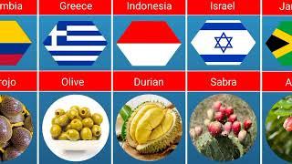 National Fruits From Different Countries.