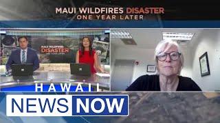 Lead researcher for Maui United Way discusses key issues fire survivors are facing