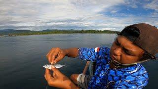 Mancing Dasaran Pakai Umpan Ikan Selar