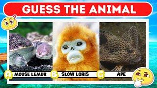 Guess The Animal Quiz Can You Guess The Animal Before It Says Its Name?