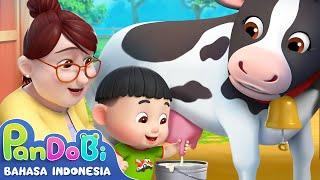Baby Memiliki Peternakan Hewan  Lagu Keluarga Anak-anak  Super Pandobi Bahasa Indonesia