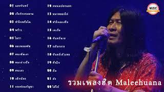 รวมเพลงฮิต Maleehuana แสงจันทร์ เรือรักกระดาษ กระท่อมกัญชา หัวใจพรือโฉ้ โมรา หมาหยอกไก่ พร้าว