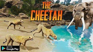 The Cheetah Animal Simulator By Yusibo Simulator Games