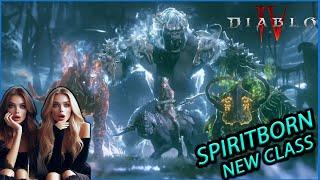 D4 New Class SpiritBorn #diablo4 #responsevideo