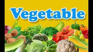 Vegetable Names with Pictures  Different Types Of Vegetables  Healthy Vegetables  Kids Learning